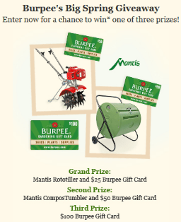 Burpee-Sweepstakes