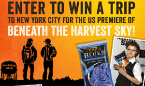 Terra-Chips-Sweepstakes