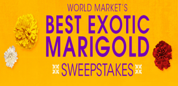 World-Market-Sweepstakes