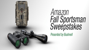 Amazon-Sweepstakes