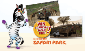 Little-Debbie-Sweepstakes