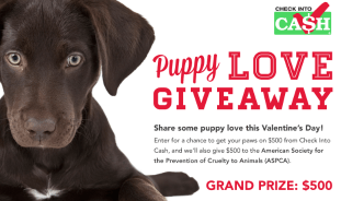 Check-into-Cash-Sweepstakes