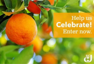 SC-Johnson-Sweepstakes