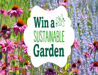 Seventh-Generation-Sweepstakes