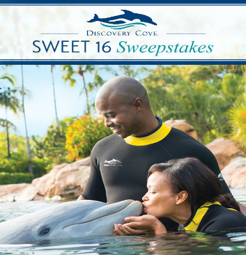 SeaWorld-Sweepstakes