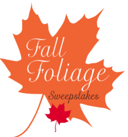 hallmark-sweepstakes