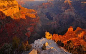 national-geographic-sweepstakes